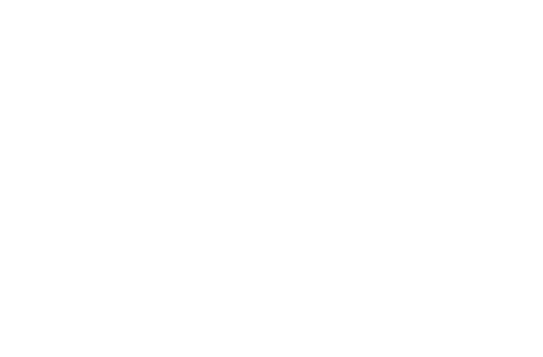airbus